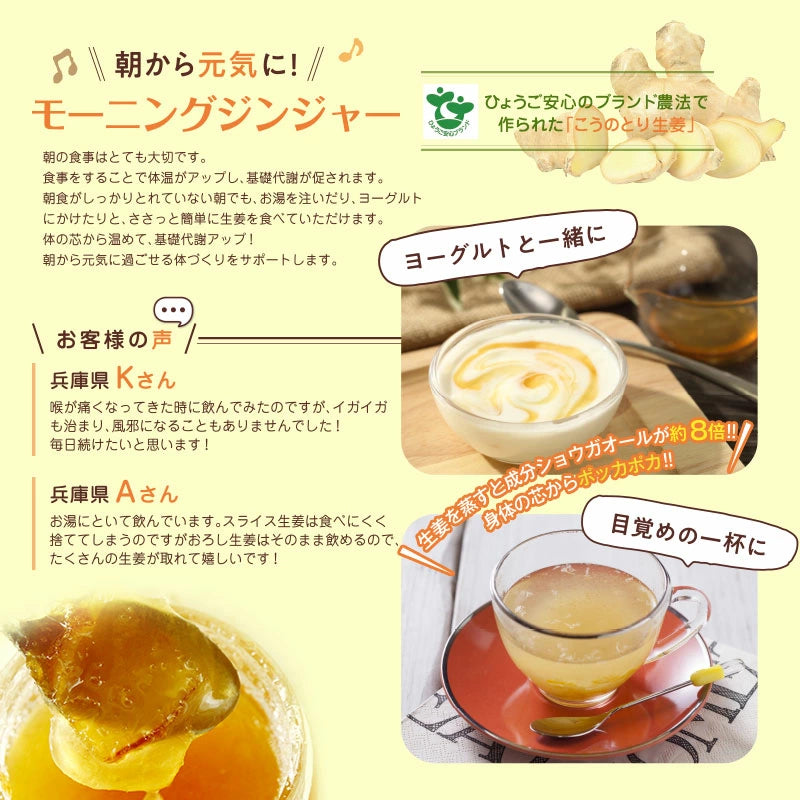 【お徳用】ハチミツおろし生姜レモン500g