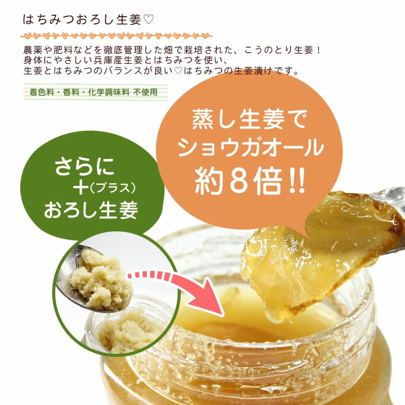 【お徳用】ハチミツおろし生姜レモン500g