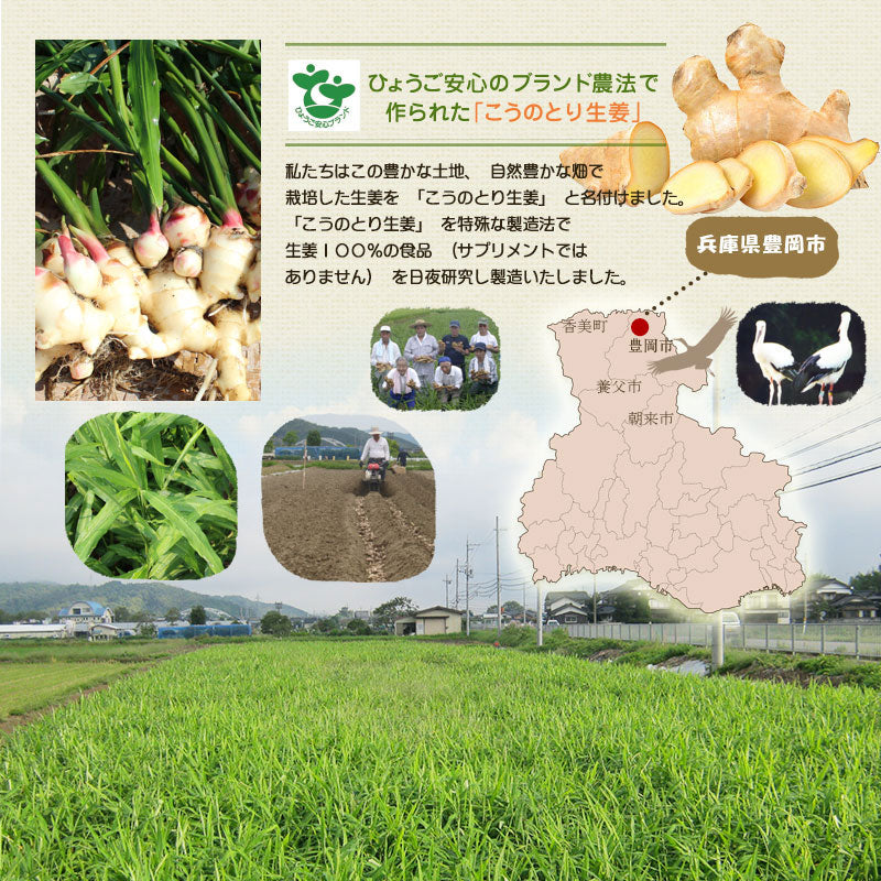 「母の日フラワー2025」ハチミツおろし生姜と生花のプチカーネーション