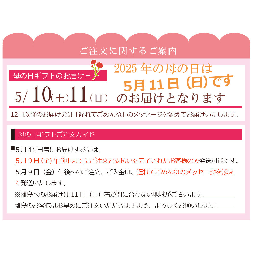 母の日ギフト2025無添加生姜シロップ+今治のさくらハンカチ+シャボンフラワーレッド