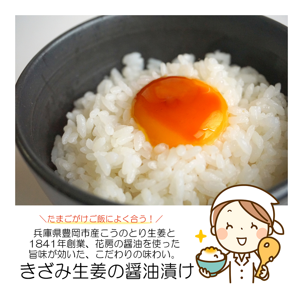 ご飯に合う!こうのとり生姜でしょうがシリーズ