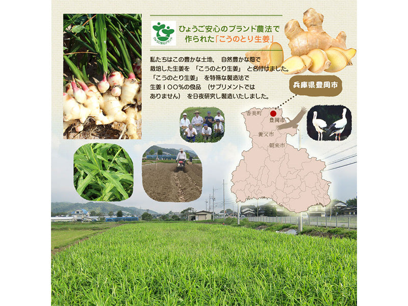 ギフト用【無添加】ハチミツおろし生姜とはちみつおろし生姜ベルガモット