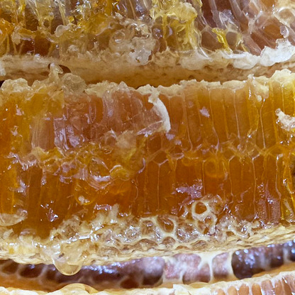 日本ミツバチの蜂蜜500ｇ