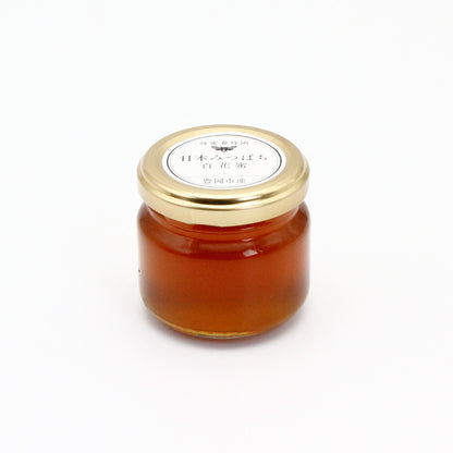 日本ミツバチの蜂蜜100ｇ